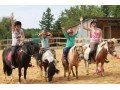 Détails : Poney club, écurie Jul'Hyppos (49 nord Angers)