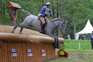 règlement jeunes chevaux SHF