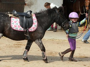 equipement centre équestre enfant